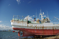 Ships and fishing vessels 3